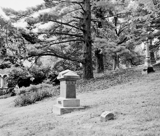 Diehl and Herbst Gravestones