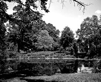 Pond II