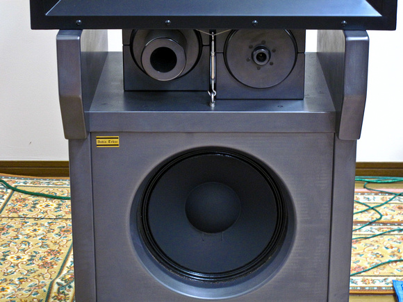 Ale Tweeter and Supertweeter with Carbon Graphite Horns and Ale Woofer in Ported Carbon Graphite Enclosure